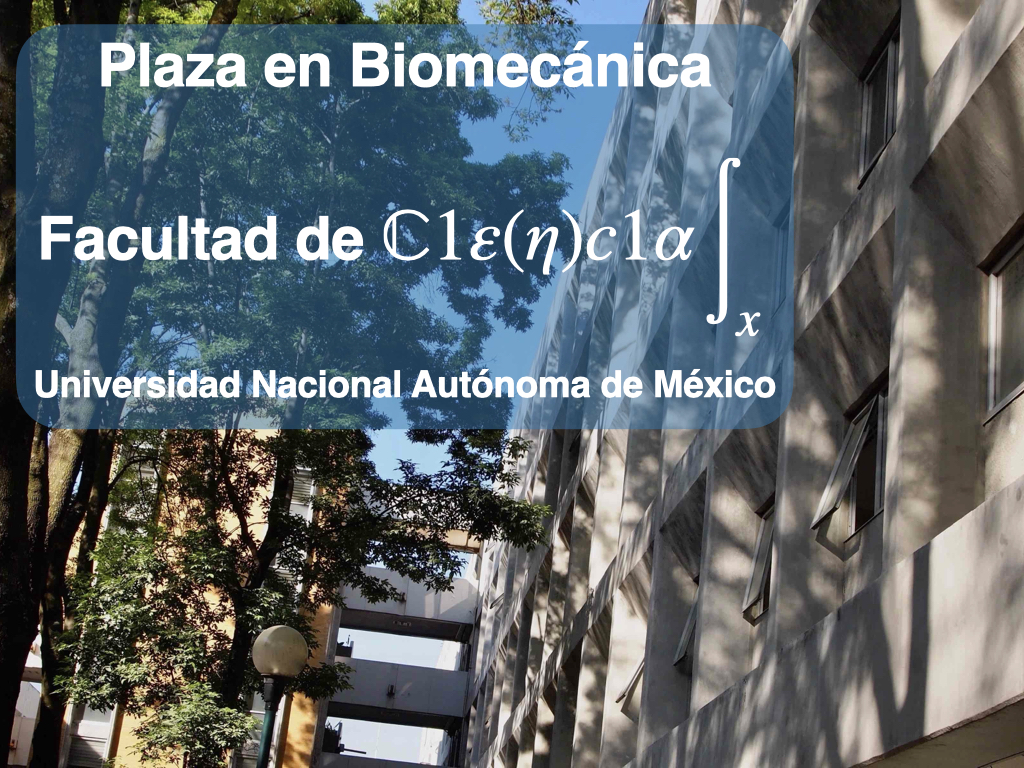 plaza biomecanica